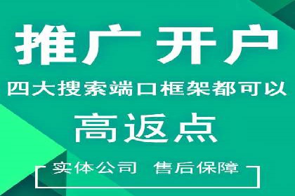 深度剖析sem竞价代运营的五大成功案例